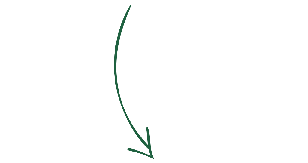 Publikationen Simone Janak 2